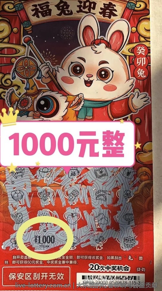 大乐透的社会影响与公益贡献